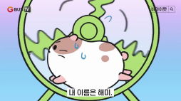 비마이펫_소동물 해미